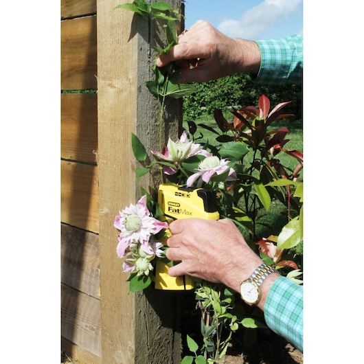 Agrafeuse STANLEY FMHT6-70411 utilisée pour fixer des fleurs à un poteau en bois au jardin.