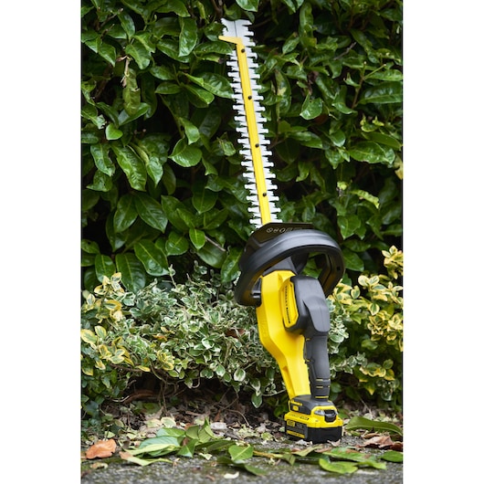 STANLEY SFMCHT855M1 taille-haie sans fil jaune et noir, photographié debout dans le jardin.