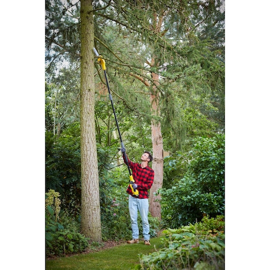 STANLEY SFMCPS620B stokzaag in gebruik voor het snoeien van hoge takken in een tuin.